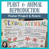 Sexual and Asexual Reproduction Poster Project Activity - 