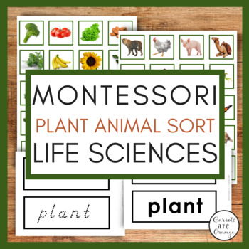 Preview of Plant & Animal Sort - Montessori Preschool Life Science Activity