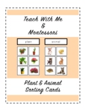 Plant & Animal Sorting Cards