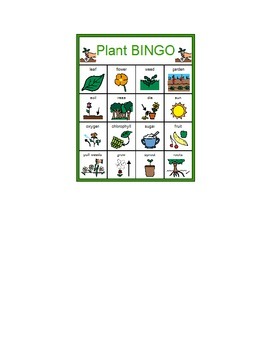 Preview of Plant BINGO