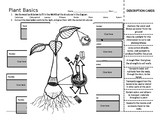 Plant Basics Review
