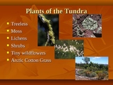 Plant Biomes of the World Power Point