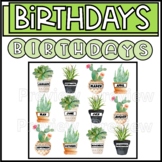 Plant Birthday Display