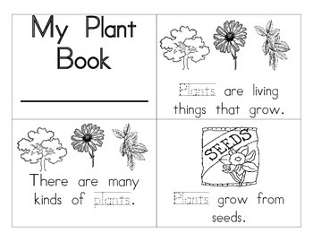 Plant Booklet By Special Education Chick Teachers Pay Teachers