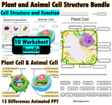 Plant Cell, Animal cell Comparison, PowerPoint and workshe