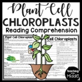 Plant Cell Chloroplasts Informational Text Reading Compreh