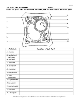 Plant Cell Color Page, Worksheet, and Quiz Ce-2 by ...