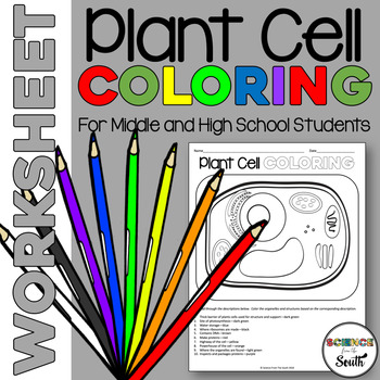 Plant Cell Coloring Worksheet for Review or Assessment | TpT