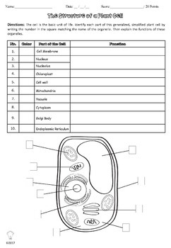 PDF Plant Cell Anatomy Printables & Worksheets for Interactive Science ...