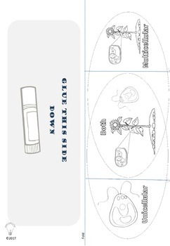 PDF Plant Cell Anatomy Printables & Worksheets for ...