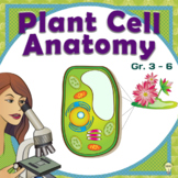 Plants Unit: Plant Cell Anatomy No-Prep Printables Handout