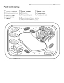 Plant Cell Colouring