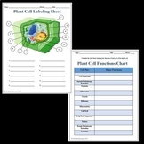 Plant Cell Labeling & Functions Science Worksheet for Goog