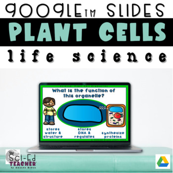 Preview of Plant Cell Labels Digital Activity