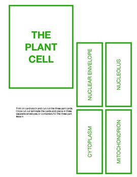 Preview of Plant Cell Package