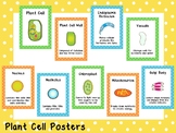 Plant Cell Printable Posters. Elementary Biology. Classroo