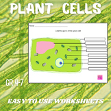 Plant Cell Science No Prep Worksheet