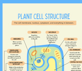 Plant Cell Structure