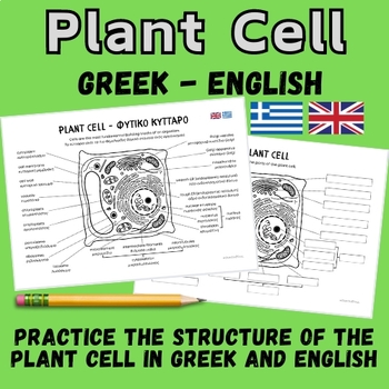 Preview of Plant Cell Structure in Greek and English
