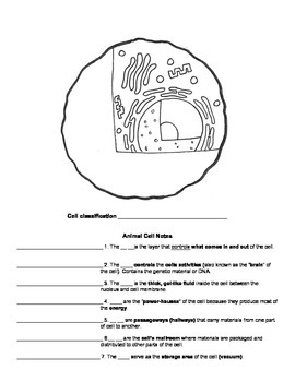 Plant Cell and Animal Cell Notes by Doreen Jarvis | TpT