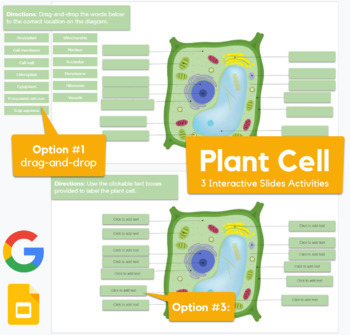 Preview of Plant Cell - drag-and-drop and labeling with Google Slides | REMOTE LEARNING