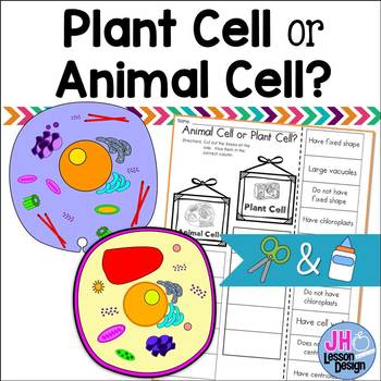 Plant Cell or Animal Cell? Cut and Paste Sorting Activity by JH Lesson ...