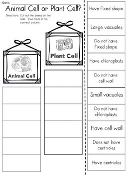 Plant Cell Or Animal Cell Cut And Paste Sorting Activity By Jh Lesson Design