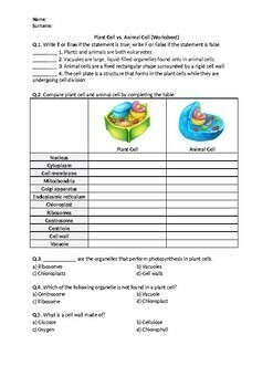 Plant Cell vs. Animal Cell - Worksheet | Distance Learning | TpT