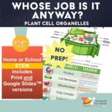 Plant Cells Organelle Activity | Google Slides™ + print