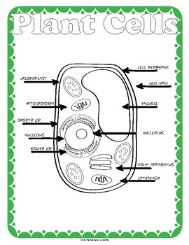 Preview of Plant Cells Printable Pack