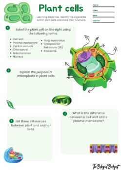 17+ Images Of Plant Cells