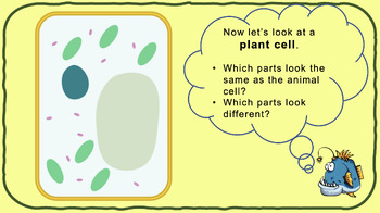 Preview of Plant Cells (inc. cheek cell lab) - low ability/special ed/SEND