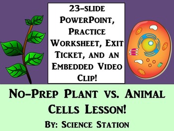 Preview of Plant Cells vs. Animal Cells
