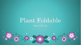 Plant Characteristics Foldable with notes and diagrams