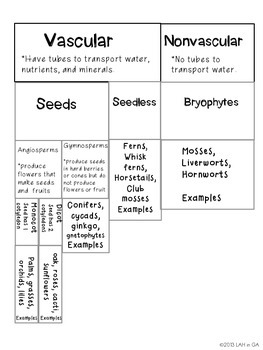 Plant Classification by LAH in GA | Teachers Pay Teachers