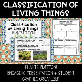 Preview of Plant Classification: Engaging Presentation + Student Graphic Organizer!