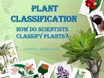 Preview of Plant Classification SL1b