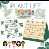 Plant Classroom Decor: Months and Days of the Week