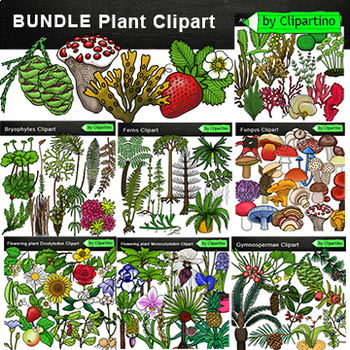 Preview of Plant Clip Art Bundle /Types of plant/ Science clipart Commercial use