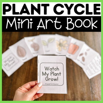 Preview of Plant Cycle Mini Art Book Project | Creative Garden Spring Plant Activity