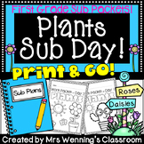 1st Grade Plant Themed Sub Plans (2 Days!)
