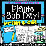2nd Grade Plant Themed Sub Plans (2 Days!)