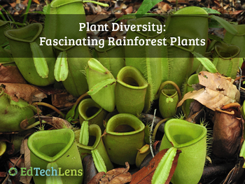 Preview of Plant Diversity: Fascinating Rainforest Plants Distance Learning PDF