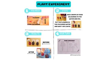 Preview of Plant Experiment