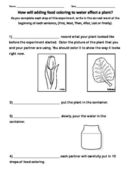 Preview of Plant Experiment --Adding Food Coloring to a Plant's Water