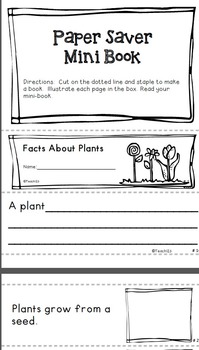 Plants by Teach123-Michelle | Teachers Pay Teachers