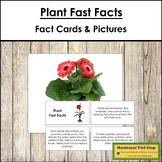 Plant Fast Facts - Montessori Botany Cards & Pictures