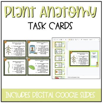 Preview of Plant & Flower Anatomy Task Cards {DIGITAL}