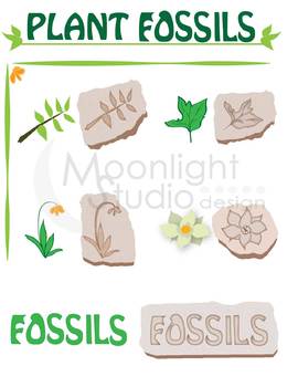 Preview of Plant Fossil Clip Art