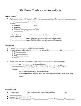 Preview of Plant Groups Notes Guide! (Used with all Plant PowerPoints)